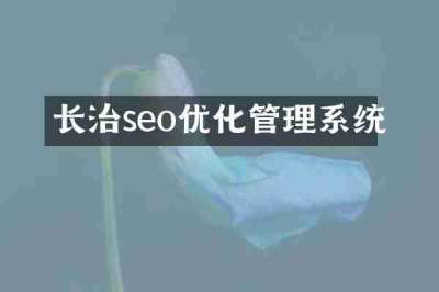 长治seo优化管理系统