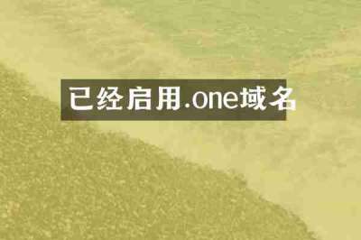 已经启用.one域名