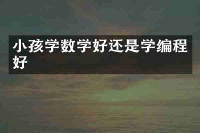 小孩学数学好还是学编程好