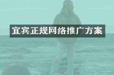 宜宾正规网络推广方案