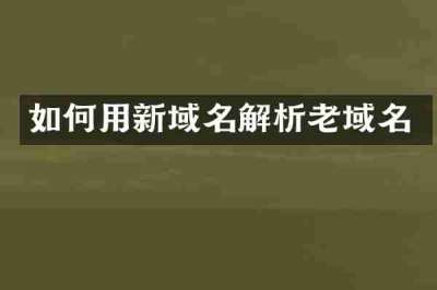 如何用新域名解析老域名