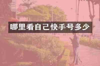 哪里看自己快手号多少