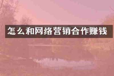 怎么和网络营销合作赚钱