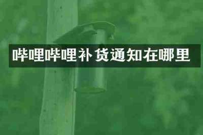 哔哩哔哩补货通知在哪里