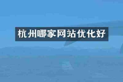 杭州哪家网站优化好