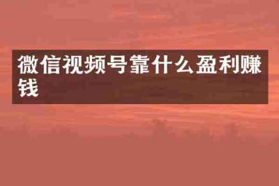 微信视频号靠什么盈利赚钱