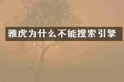雅虎为什么不能搜索引擎