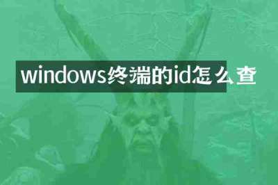 windows终端的id怎么查