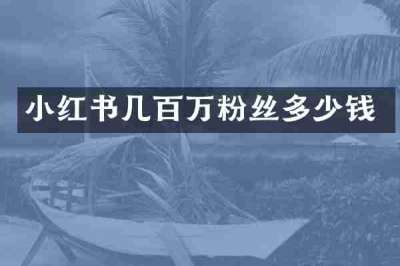 小红书几百万粉丝多少钱