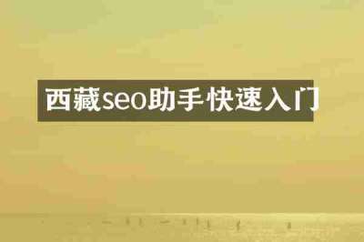 西藏seo助手快速入门