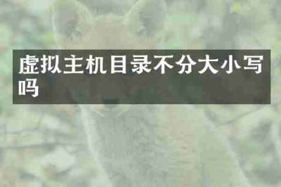 虚拟主机目录不分大小写吗