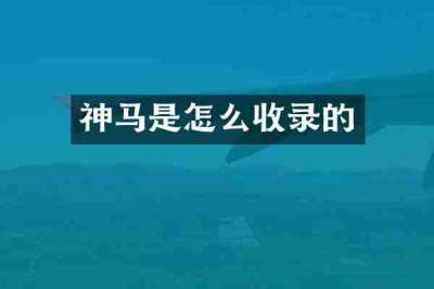 神马是怎么收录的