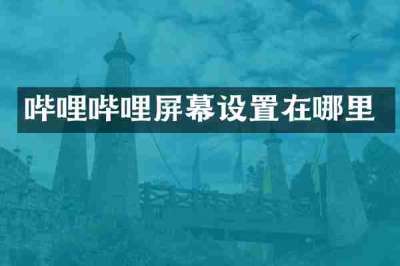 哔哩哔哩屏幕设置在哪里