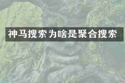 神马搜索为啥是聚合搜索