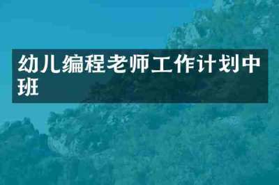 幼儿编程老师工作计划中班