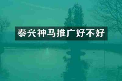 泰兴神马推广好不好