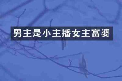 男主是小主播女主富婆