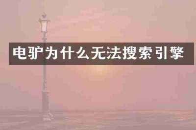 电驴为什么无法搜索引擎