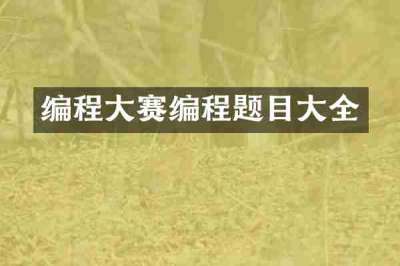 编程大赛编程题目大全
