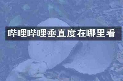 哔哩哔哩垂直度在哪里看