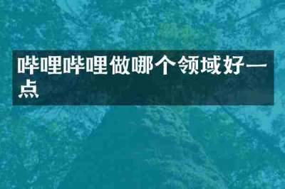 哔哩哔哩做哪个领域好一点