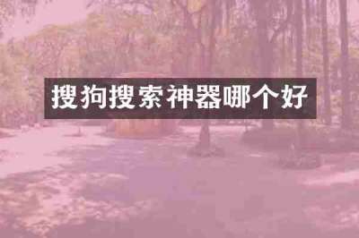 搜狗搜索神器哪个好