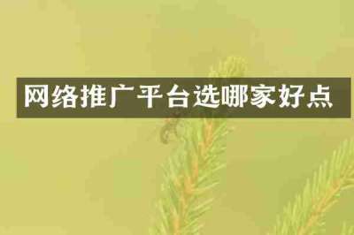 网络推广平台选哪家好点