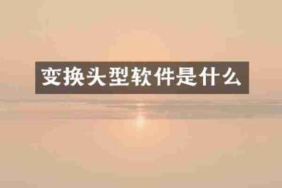 变换头型软件是什么