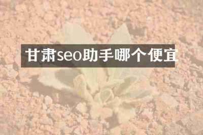 甘肃seo助手哪个便宜