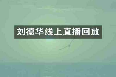 刘德华线上直播回放