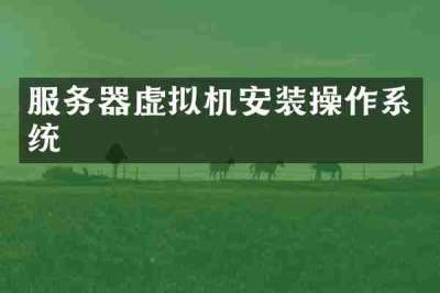 服务器虚拟机安装操作系统