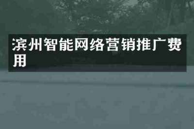滨州智能网络营销推广费用