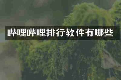 哔哩哔哩排行软件有哪些