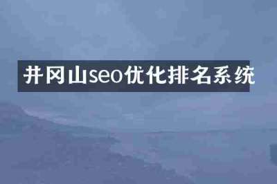 井冈山seo优化排名系统