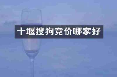 十堰搜狗竞价哪家好