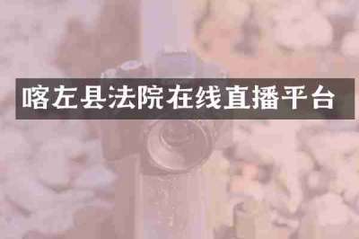 喀左县法院在线直播平台