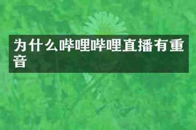 为什么哔哩哔哩直播有重音