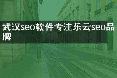 武汉seo软件专注乐云seo品牌