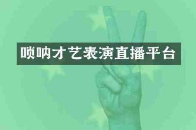 唢呐才艺表演直播平台