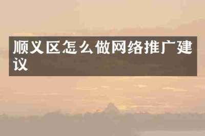 顺义区怎么做网络推广建议