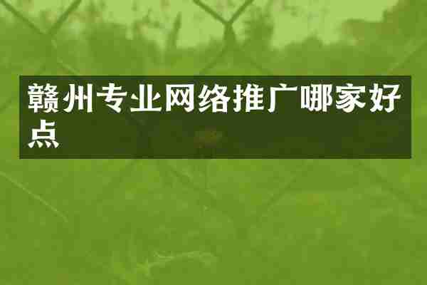 赣州专业网络推广哪家好点