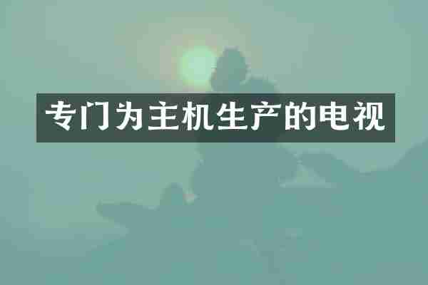 专门为主机生产的电视