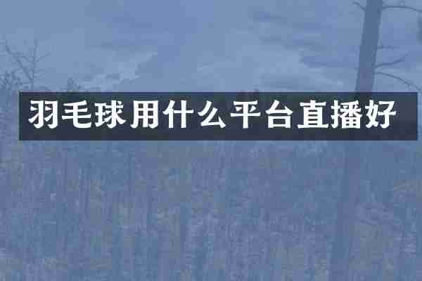 羽毛球用什么平台直播好