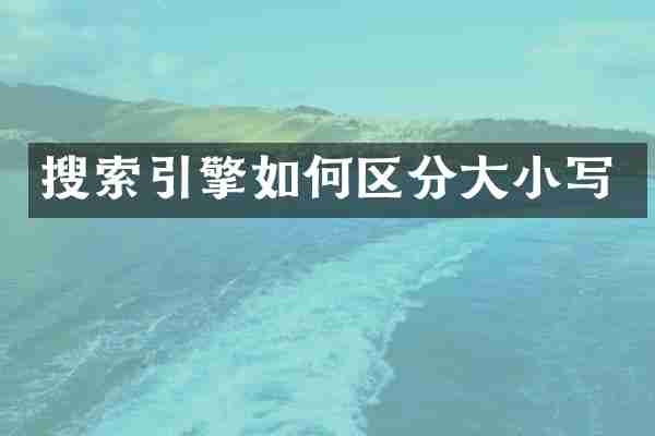 搜索引擎如何区分大小写
