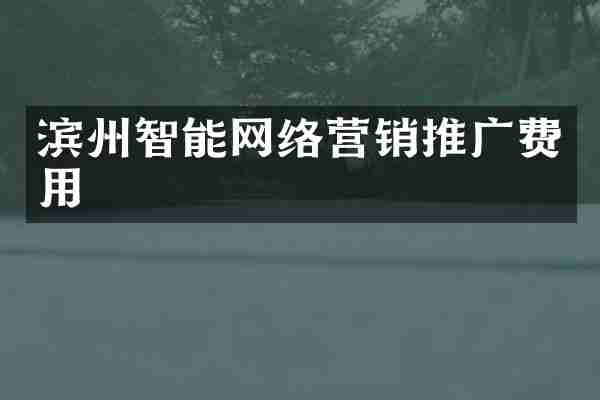 滨州智能网络营销推广费用