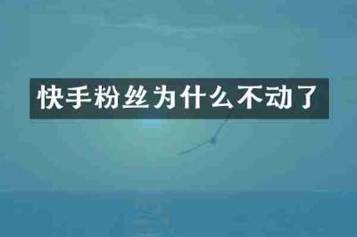 快手粉丝为什么不动了