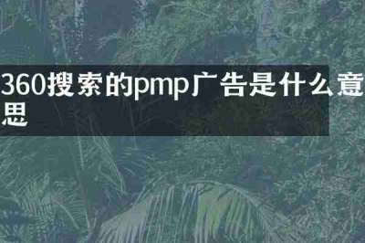 360搜索的pmp广告是什么意思