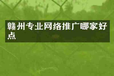 赣州专业网络推广哪家好点