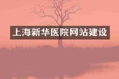 上海新华医院网站建设