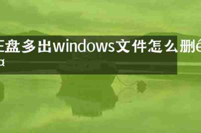 E盘多出windows文件怎么删除